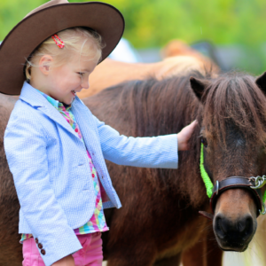 60 Minute Pony Rental